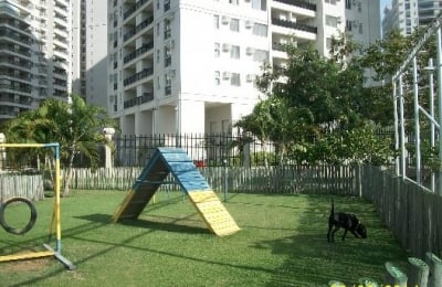 PET_PLACE_6OO0qr9